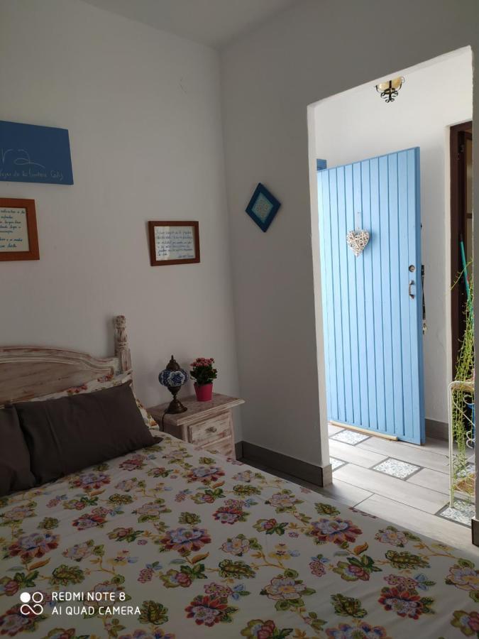 La Lectora Vejer de la Frontera Exterior foto